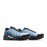Nike Air Max Plus Tn 'Blue Gradient / Neptune Blue'