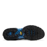 Nike Air Max Plus Tn 'Blue Gradient / Neptune Blue'